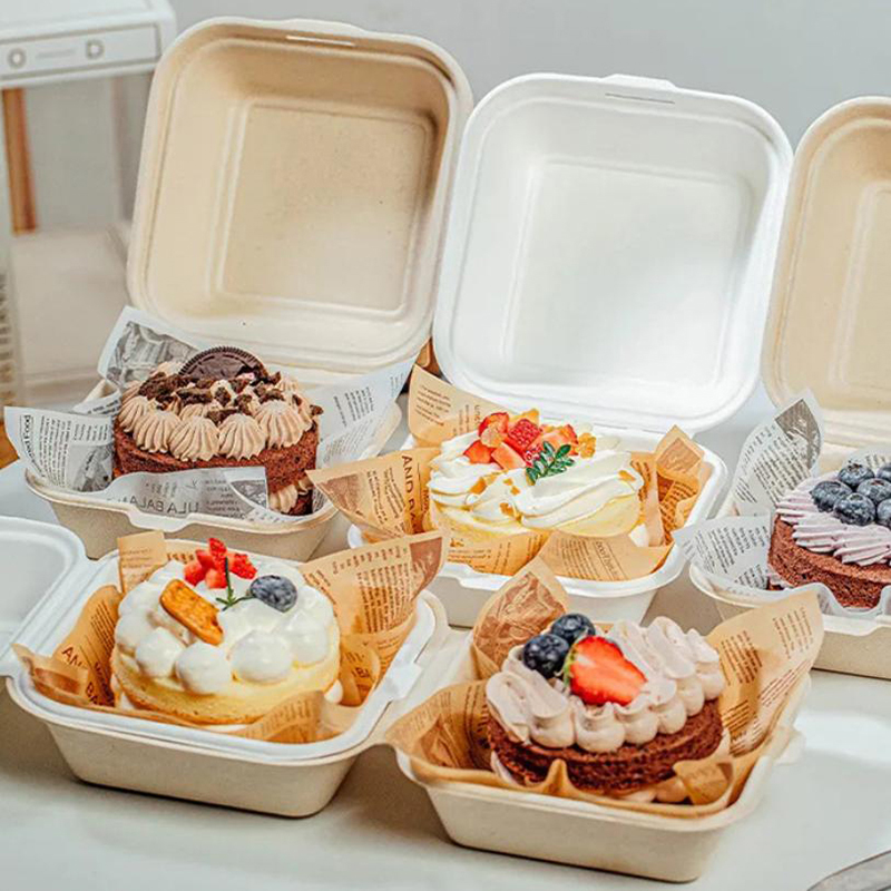Nice Food Snacks - 【Fajne】10 szt. Jednorazowe pojemniki na bento,